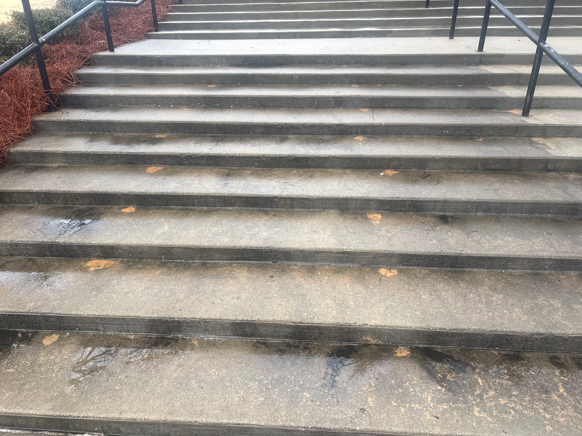 Gallery photos for Spotless Game Day Prep at Barbara Williams Softball Complex: Image #2